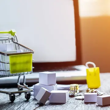 De Gemeenschappelijke Kenmerken van Succesvolle E-commerce Website-eigenaren in 2026